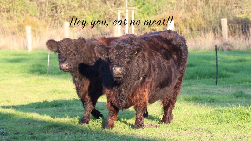 15546884931_f2c86c39aa_b