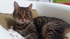 Margaux nella sua nuova casa