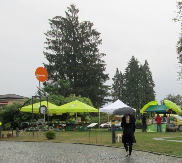 Il mercatino bio al Monte Verità