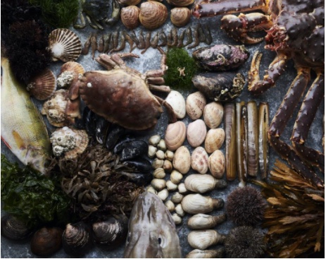 Foto di apertura dell'Ocean Season al Noma